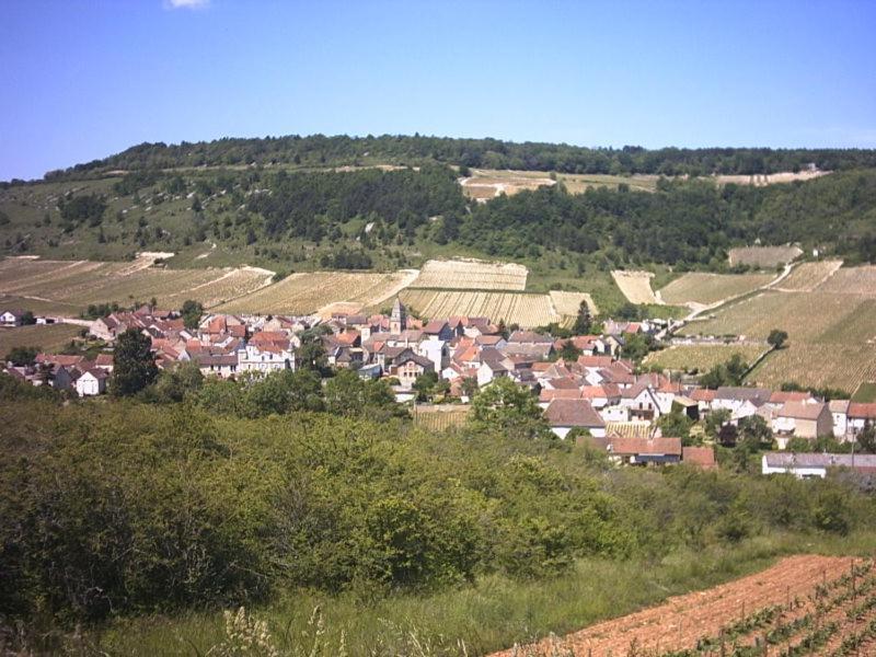 Le Lodge Du Parc Beaune  Exterior foto